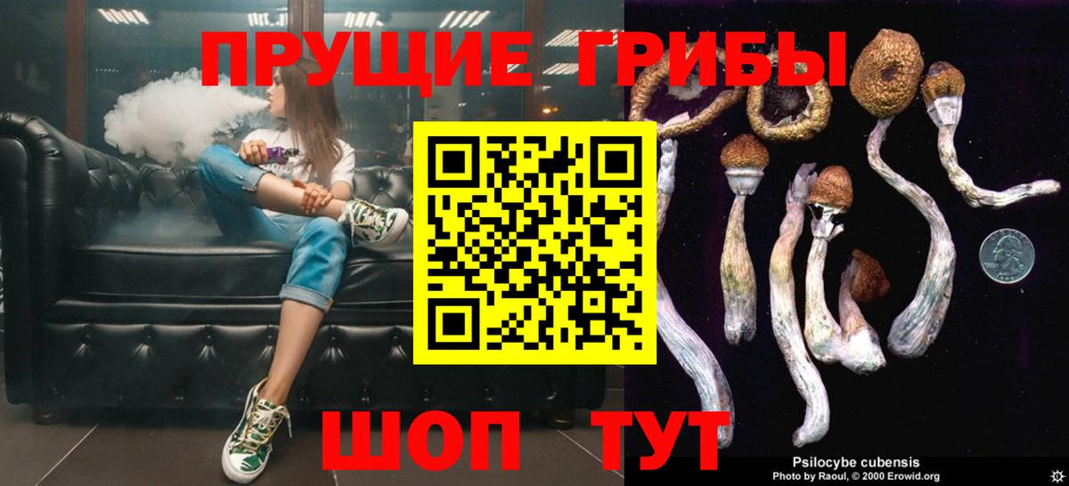 Псилоцибиновые грибы MAGIC MUSHROOMS Балашиха