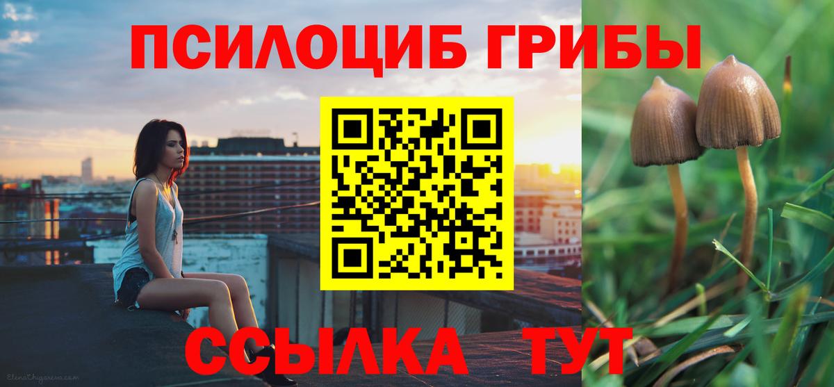 цены наркотик  Галлюциногенные грибы Cubensis  Балашиха  Вход с VPN  Галлюциногенные грибы GOLDEN TEACHER 